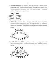 Organizacijos struktūra ir jų tipai 8 puslapis