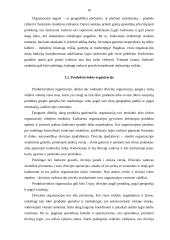 Organizacijos struktūra ir jų tipai 10 puslapis