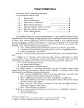 Organizacijos tikslų visuma, samprata, struktūra, formavimas bei klasifikavimas 5 puslapis