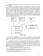 Organizacijos tikslų visuma, samprata, struktūra, formavimas bei klasifikavimas 10 puslapis