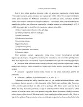 Organizacijos veiklos planavimas 3 puslapis