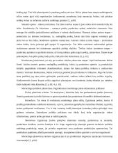 Organizacijos veiklos planavimas 4 puslapis