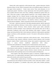 Organizacijos veiklos planavimas 5 puslapis