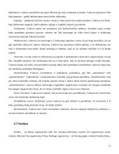 Organizacijos vidinė aplinka 13 puslapis