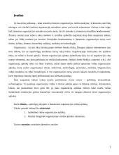 Organizacijos vidinė aplinka 3 puslapis