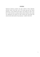 Organizacijos, kaip vadybinės veiklos erdvė 2 puslapis