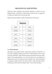 Organizacijos, kaip vadybinės veiklos erdvė 3 puslapis