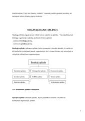 Organizacijos, kaip vadybinės veiklos erdvė 4 puslapis