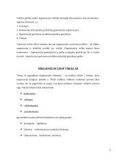 Organizacijos, kaip vadybinės veiklos erdvė 5 puslapis