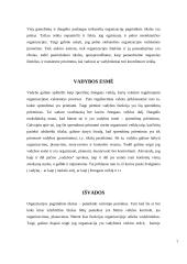 Organizacijos, kaip vadybinės veiklos erdvė 6 puslapis