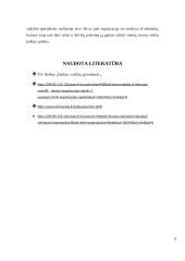 Organizacijos, kaip vadybinės veiklos erdvė 7 puslapis