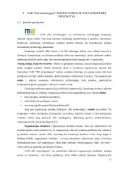 Organizacijų įvairovė 11 puslapis