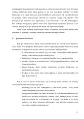 Organizacijų įvairovė 13 puslapis