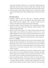 Organizacijų įvairovė 7 puslapis