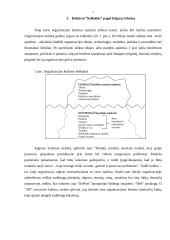 Organizacijų įvaizdis ir darbo kultūra 7 puslapis
