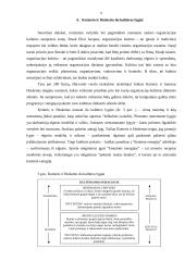 Organizacijų įvaizdis ir darbo kultūra 8 puslapis