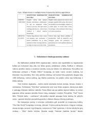 Organizacijų įvaizdis ir darbo kultūra 10 puslapis