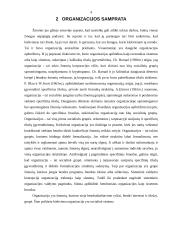Organizacijų samprata bei sociologija 4 puslapis