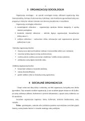 Organizacijų samprata bei sociologija 5 puslapis