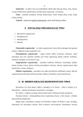 Organizacijų samprata bei sociologija 6 puslapis