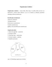 Organizacijų struktūra pagal H. Mintzberg‘ą 4 puslapis