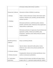Organizacijų struktūra pagal H. Mintzberg‘ą 10 puslapis