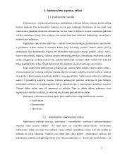 Organizacinė kultūra ir vadovavimo stilius 2 puslapis