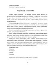 Linijinė ir patriarchalinė valdymo struktūra 11 puslapis