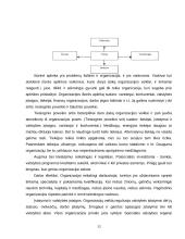 Linijinė ir patriarchalinė valdymo struktūra 12 puslapis