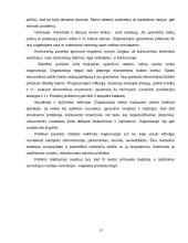 Linijinė ir patriarchalinė valdymo struktūra 13 puslapis