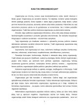 Linijinė ir patriarchalinė valdymo struktūra 3 puslapis