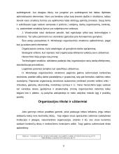 Linijinė ir patriarchalinė valdymo struktūra 8 puslapis