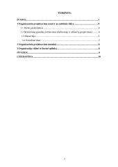 Organizacinis sprendimų priėmimo projektavimas 2 puslapis