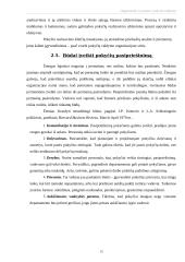 Organizacinis vystymas ir pokyčių valdymas 15 puslapis