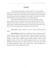 Organizacinis vystymas ir pokyčių valdymas 3 puslapis