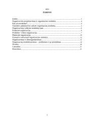 Organizacinių valdymo struktūrų pritaikymas šių laikų verslo poreikiams 2 puslapis