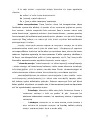 Organizacinių valdymo struktūrų pritaikymas šių laikų verslo poreikiams 13 puslapis