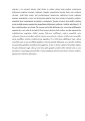 Organizacinių valdymo struktūrų pritaikymas šių laikų verslo poreikiams 19 puslapis