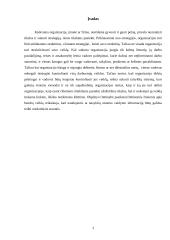 Organizacinių valdymo struktūrų pritaikymas šių laikų verslo poreikiams 3 puslapis