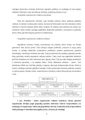 Organizacinių valdymo struktūrų pritaikymas šių laikų verslo poreikiams 9 puslapis