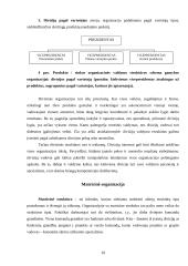 Organizacinių valdymo struktūrų pritaikymas šių laikų verslo poreikiams 10 puslapis