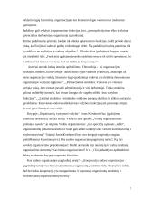 Organizavimo pagrindai 7 puslapis