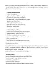 Organizuotos turistinės kelionės autobusu 5 puslapis