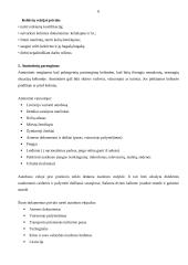 Organizuotos turistinės kelionės autobusu 6 puslapis