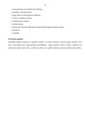 Organizuotos turistinės kelionės autobusu 8 puslapis