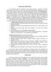 Orkestras ir jo raida 2 puslapis