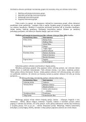 Orkestras ir jo raida 3 puslapis