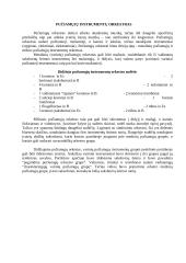 Orkestras ir jo raida 5 puslapis