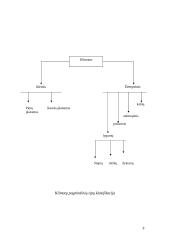 Oro higiena 7 puslapis