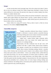 Oras, jo tarša bei apsauga 2 puslapis